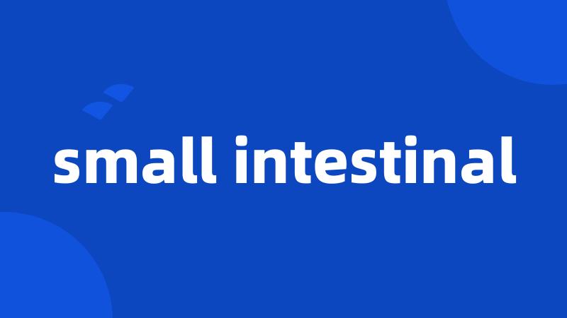 small intestinal