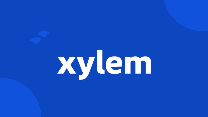 xylem