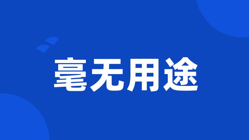 毫无用途