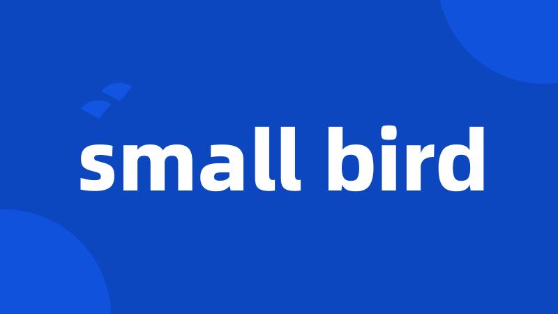 small bird