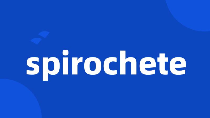 spirochete