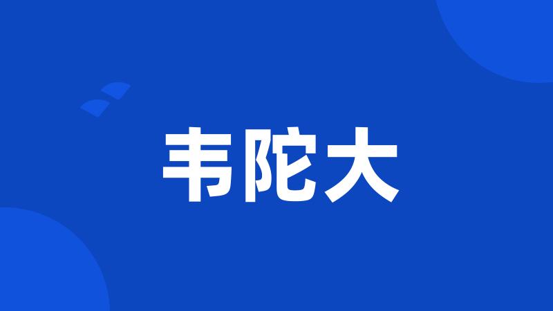 韦陀大