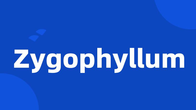 Zygophyllum