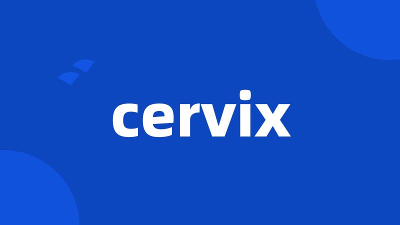 cervix