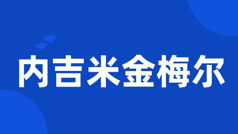 内吉米金梅尔