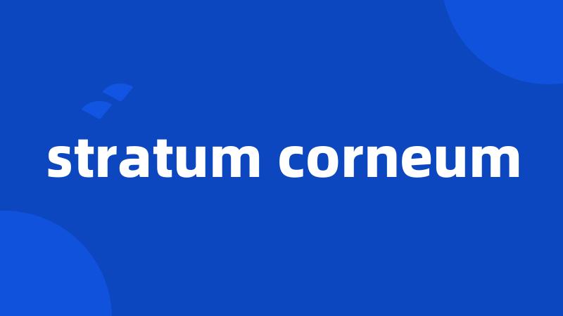 stratum corneum