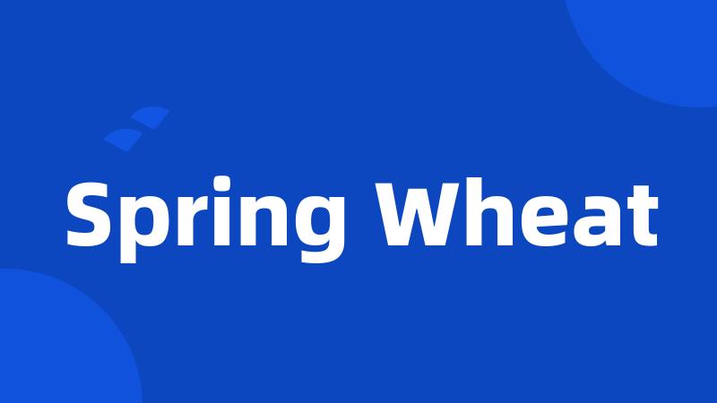 Spring Wheat