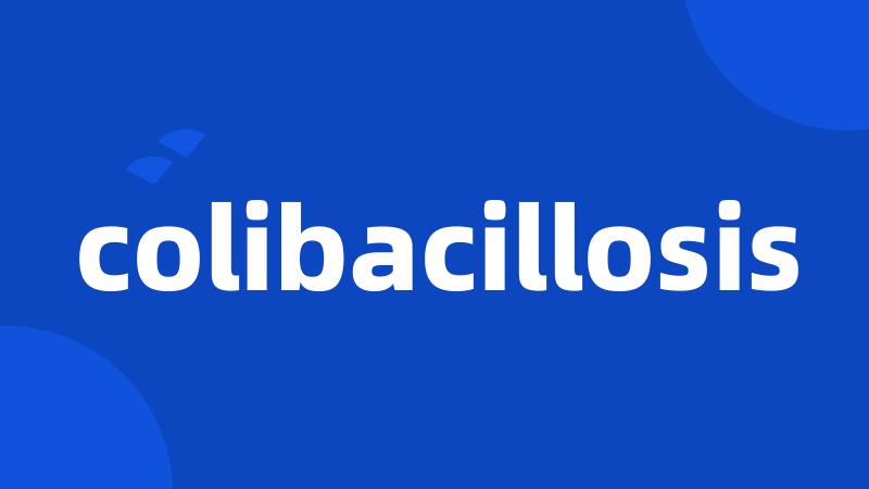 colibacillosis
