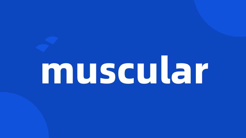 muscular