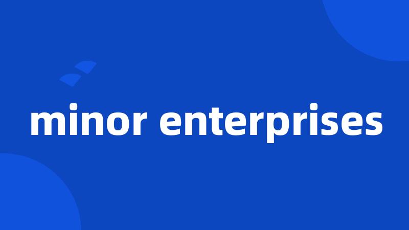 minor enterprises