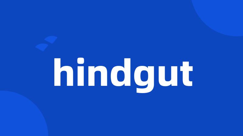 hindgut
