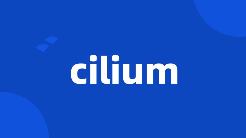 cilium