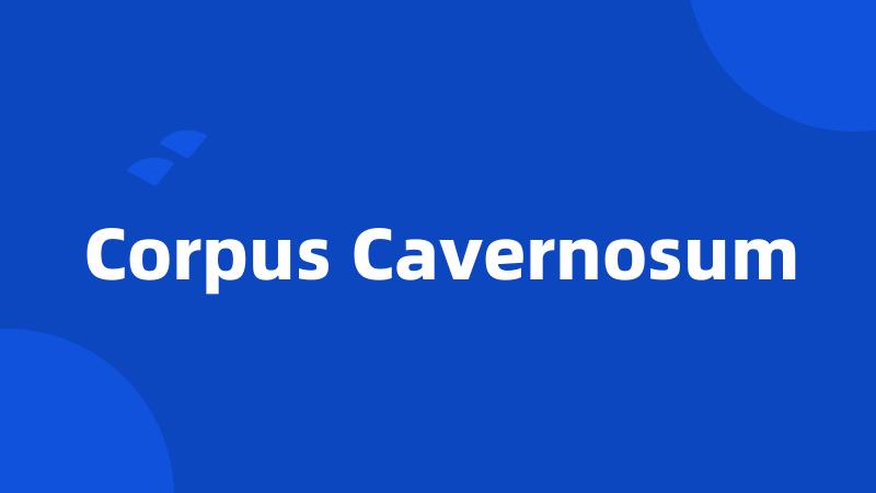 Corpus Cavernosum