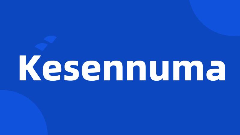 Kesennuma