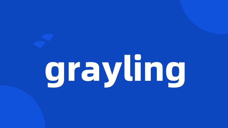 grayling