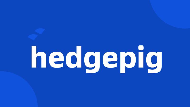 hedgepig