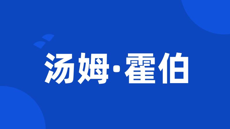 汤姆·霍伯