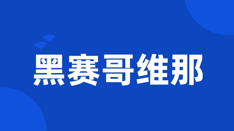 黑赛哥维那