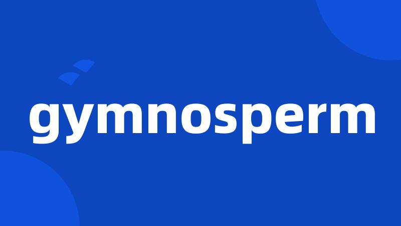gymnosperm
