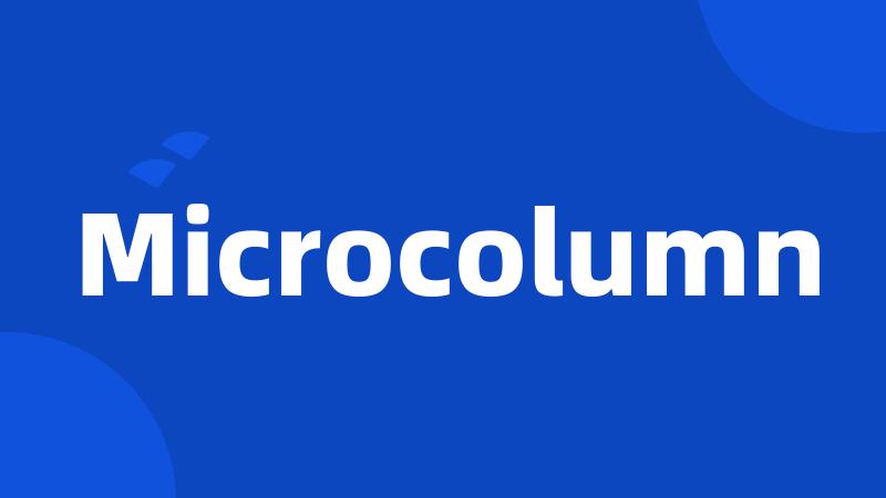 Microcolumn