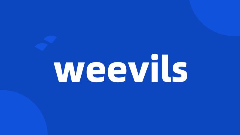 weevils