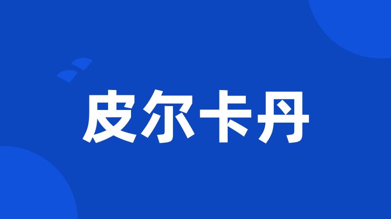 皮尔卡丹