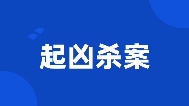 起凶杀案