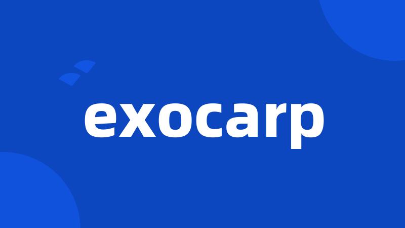 exocarp