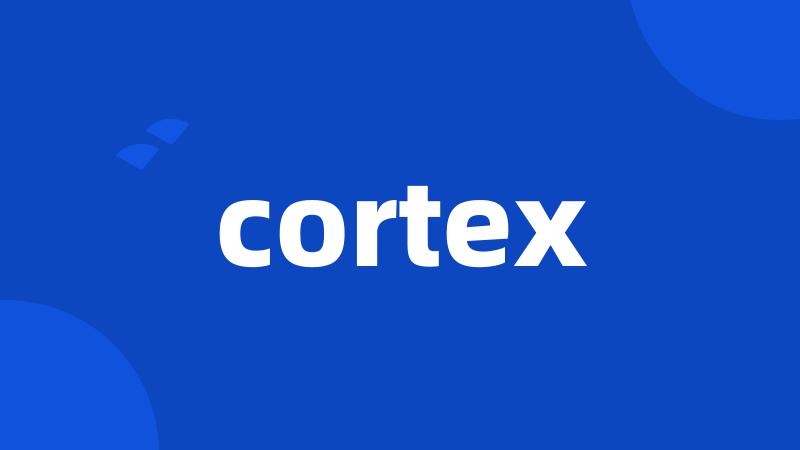 cortex