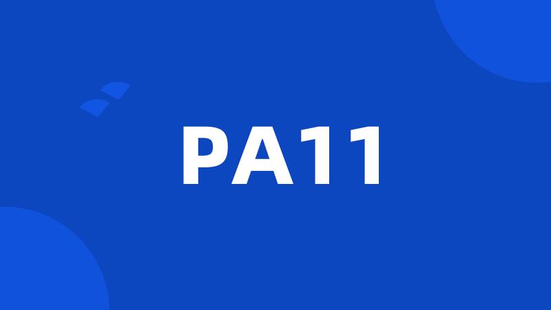 PA11