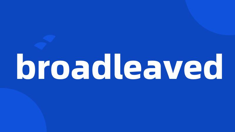 broadleaved