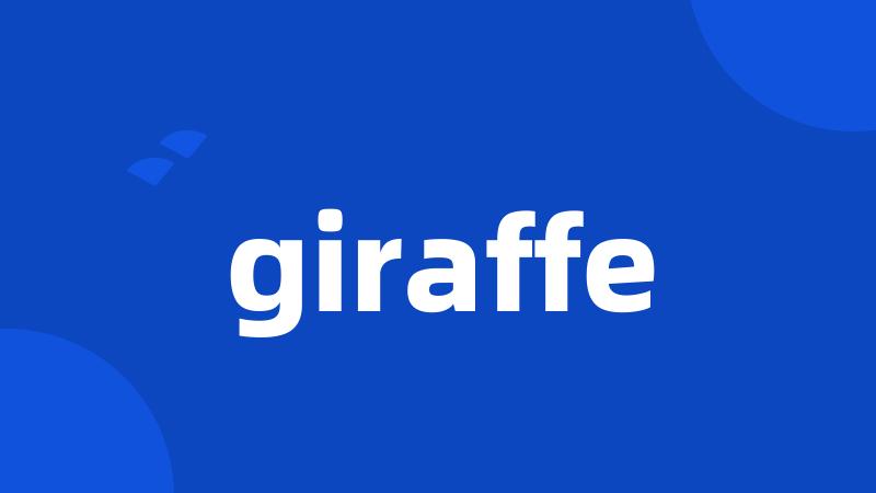 giraffe