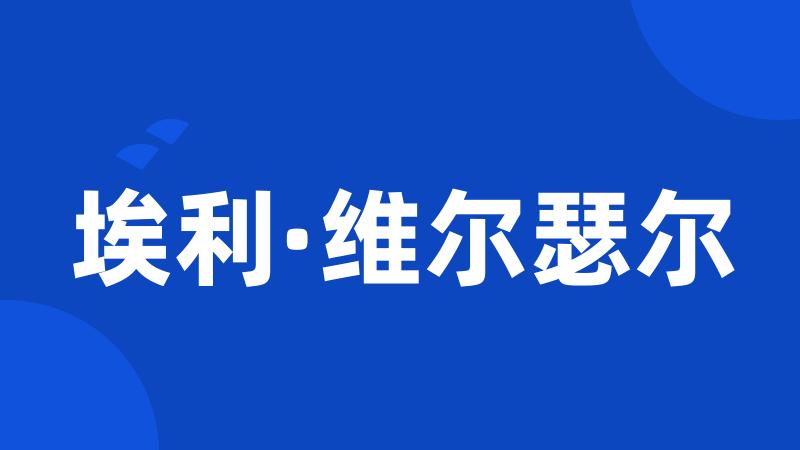 埃利·维尔瑟尔