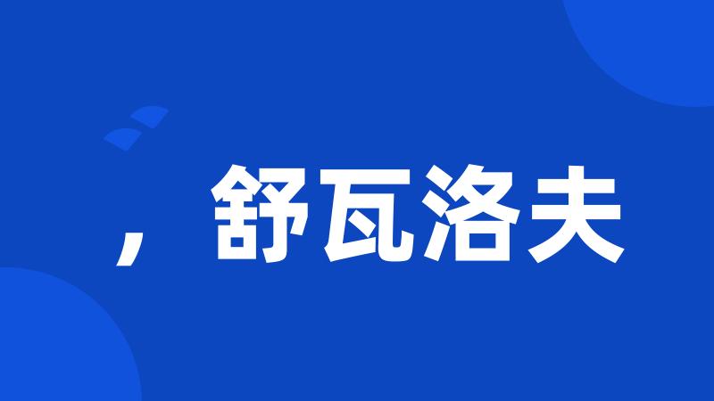 ,舒瓦洛夫
