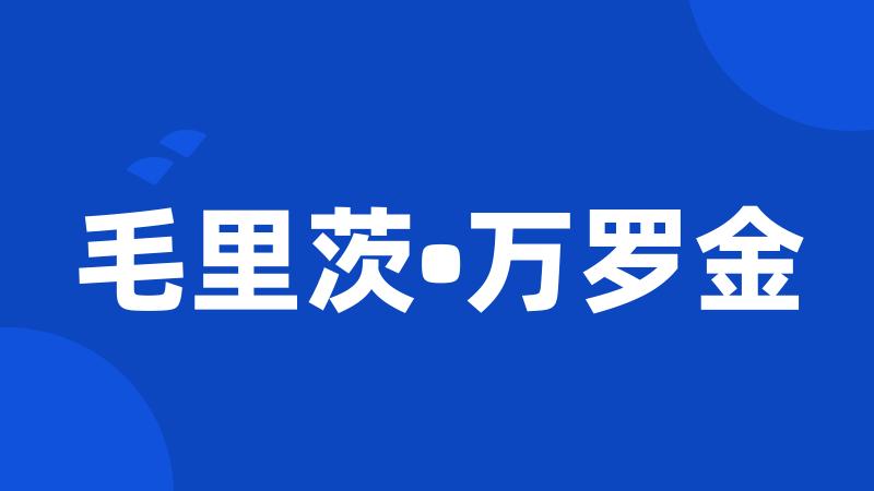 毛里茨•万罗金
