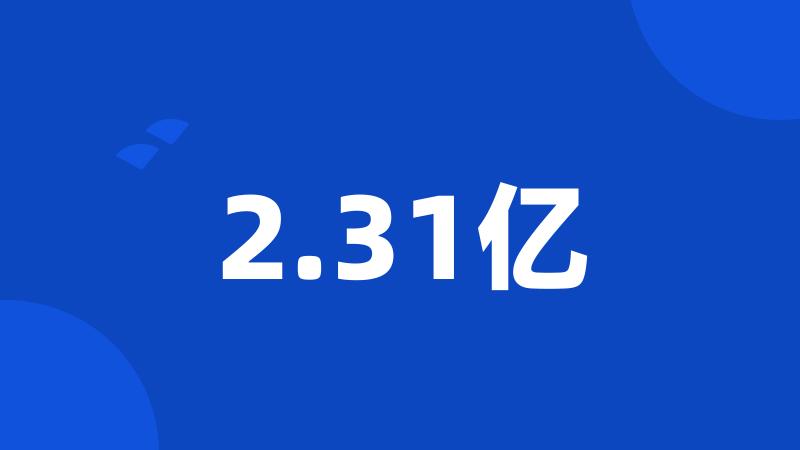 2.31亿
