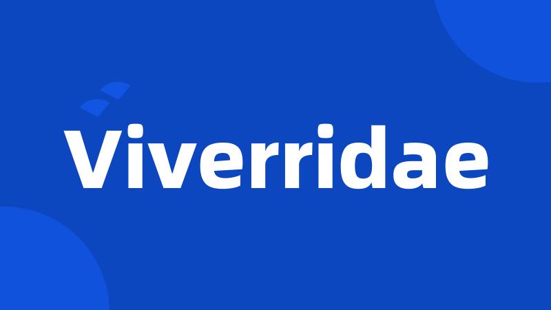 Viverridae