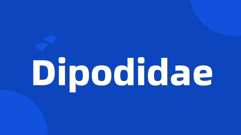 Dipodidae