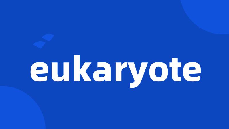 eukaryote