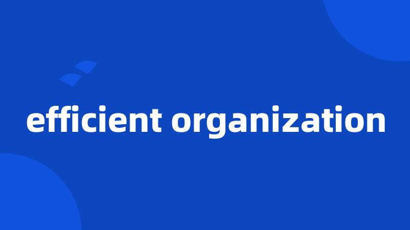 efficient organization