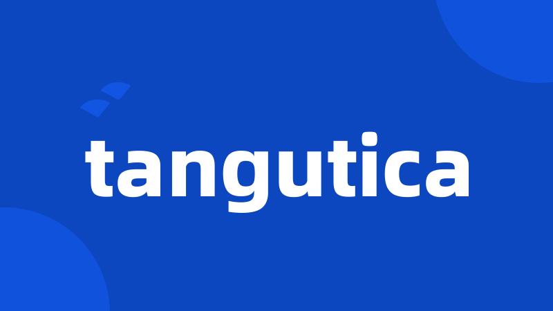 tangutica