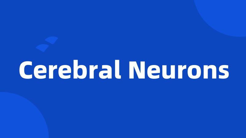 Cerebral Neurons