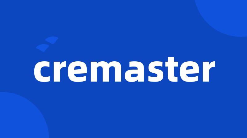 cremaster