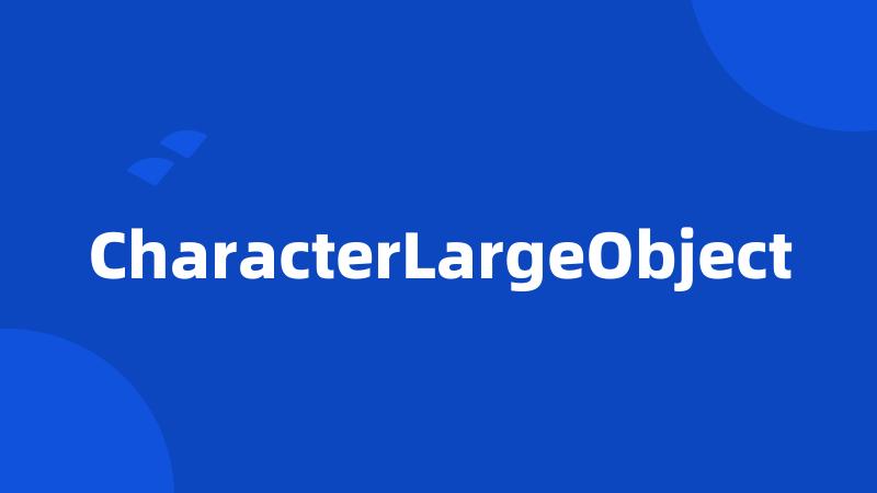 CharacterLargeObject