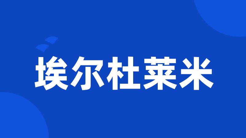 埃尔杜莱米