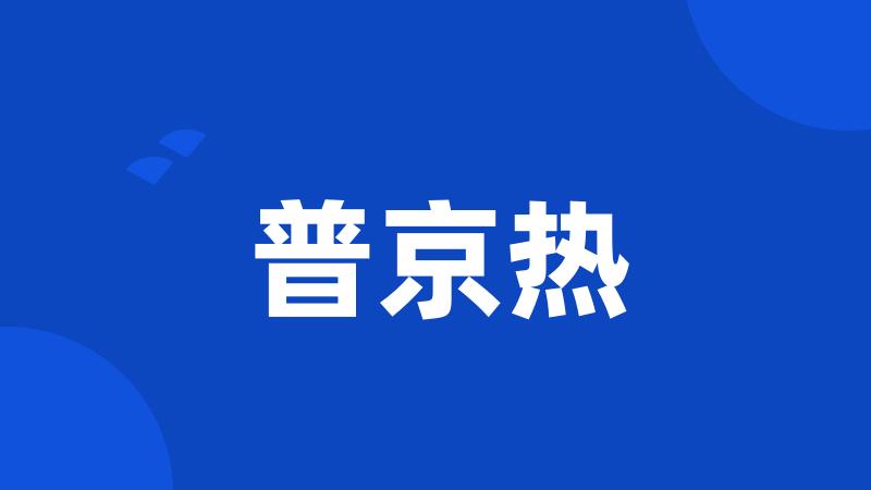 普京热