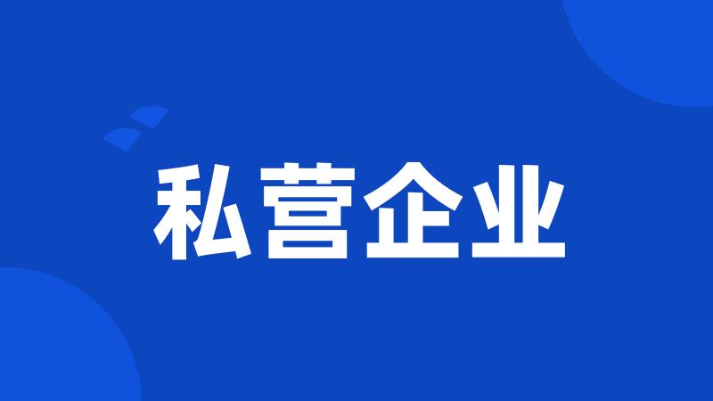 私营企业