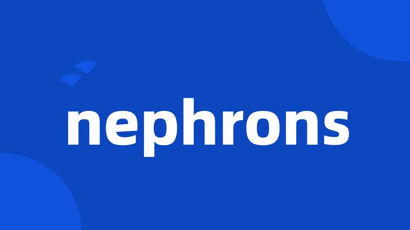 nephrons