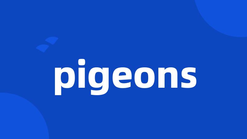 pigeons