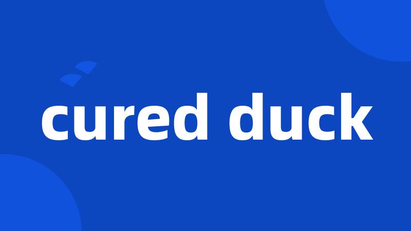 cured duck